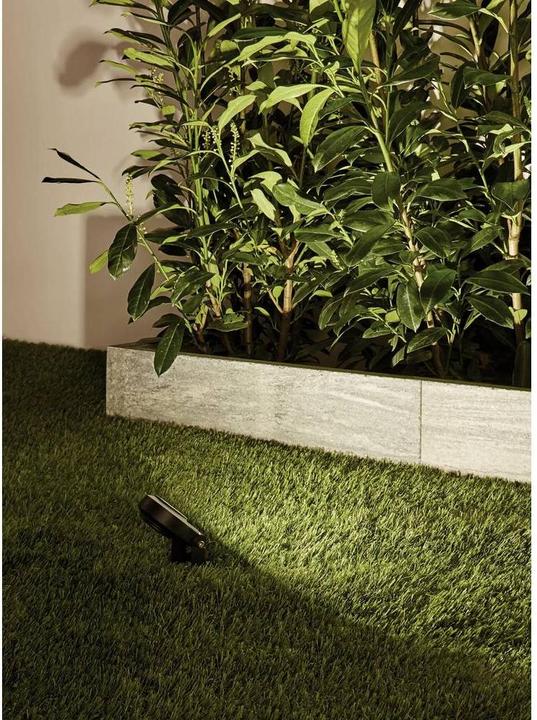 Image du produit Paulmann Plug & Shine Sting (655 lm, IP67)