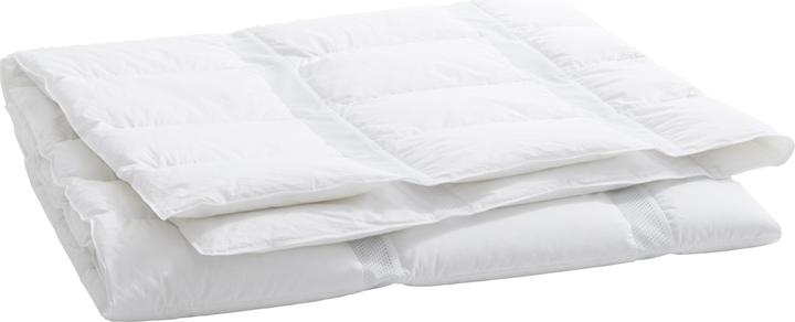 Immagine prodotto Billerbeck Climabalance (200 g, 160 x 210 cm)