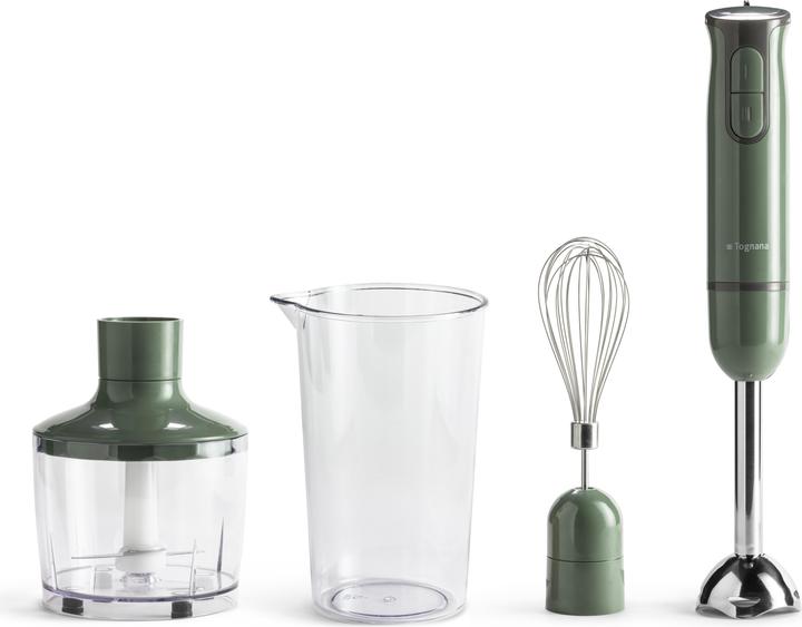 Actual product image Tognana Iridea Immersion Blender with Whisk