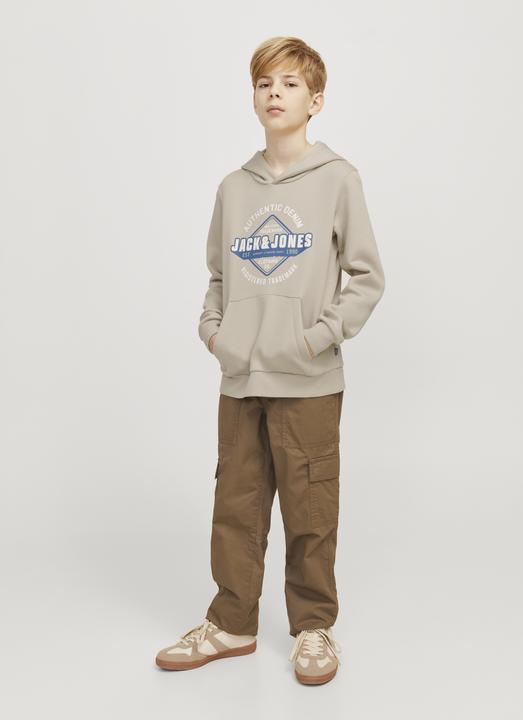 Actual product image Jack & Jones JJELOGO SWEAT HOOD 2 COL 24/25 NOOS JNR (176)