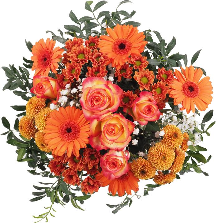 Migros Ostschweiz Grappolo grande (Fiori recisi)