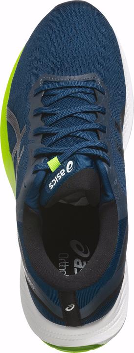 Produktbild ASICS Performance Gel-Pulse 13 (43.5)