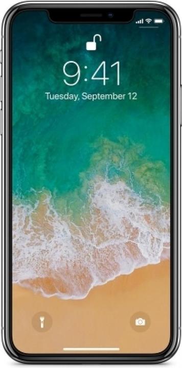 Produktbild Screenguard 100% Display Schutz Folie Apple iPhone XS Max Crystal Clear (1 Stück, Apple iPhone XS Max)