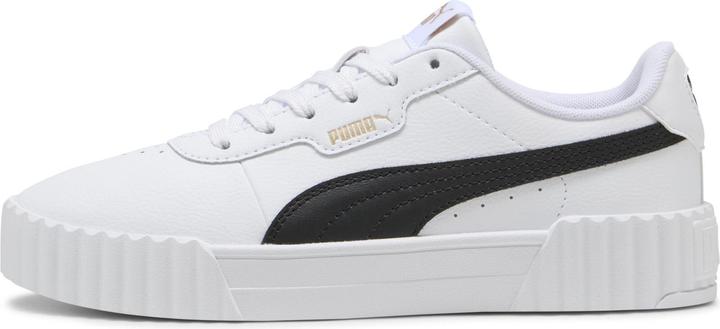 Puma Carina 3.0 (38)
