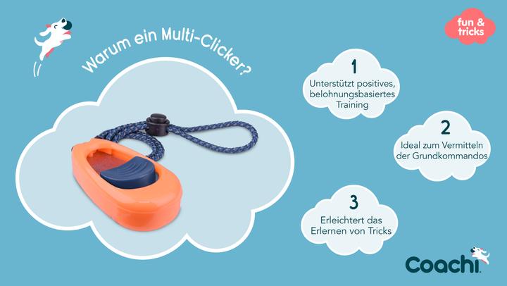 Actual product image Company of Animals Coachi Multi-Clicker (Upbringing)