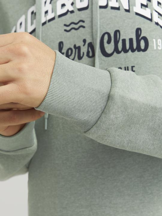 Immagine prodotto Jack & Jones JJELOGO SWEAT HOOD 2 COL 24/25 NOOS (XS)