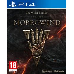 Actual product image Bethesda The Elder Scrolls Online: Morrowind (Day 1 Edition) (PS4, DE)