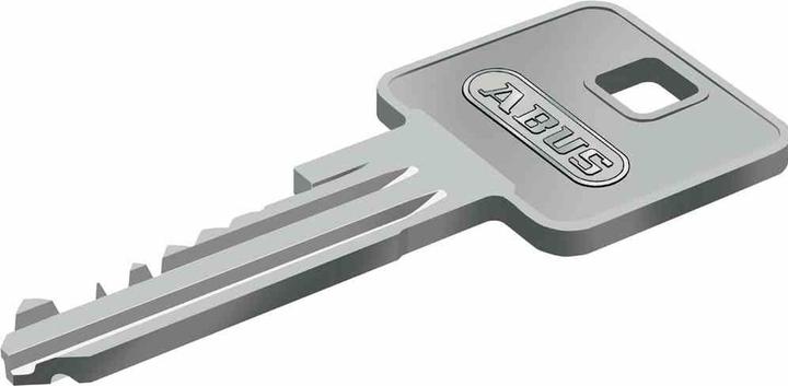 Actual product image Abus E30NP (Profile cylinder)