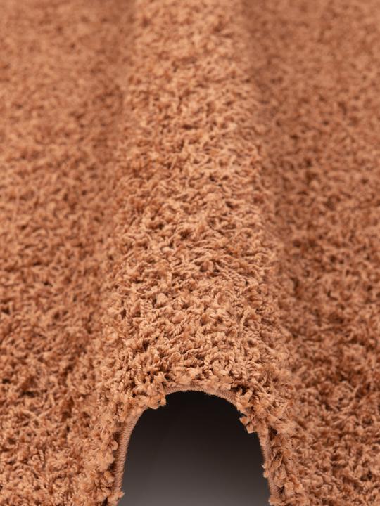 Image du produit Pergamon Tapis Shaggy à poils longs Fluffy (140 x 200 cm)