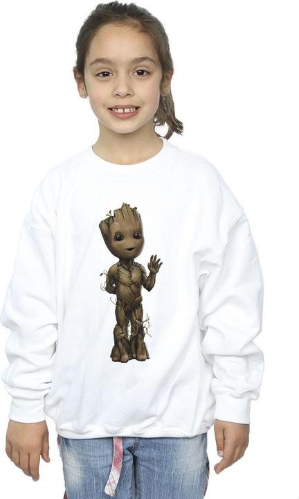 Image du produit - Sweat AM GROOT WAVE POSE - Fille (116)