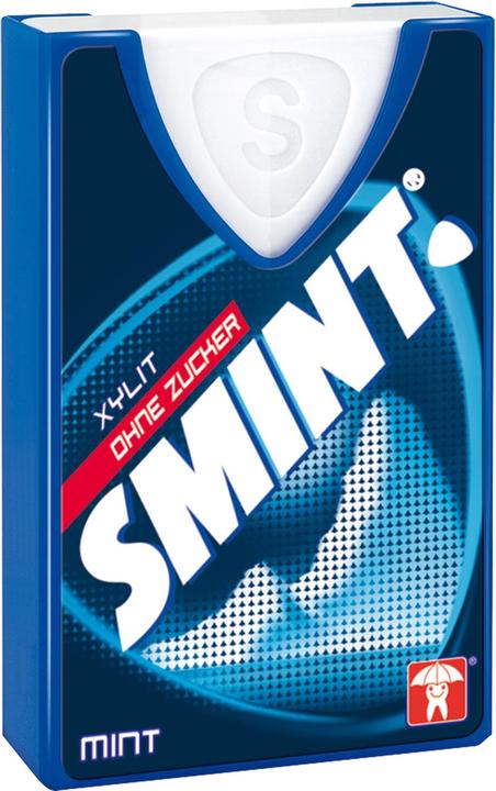 Smint Pastilles (1 pcs., 8 g)