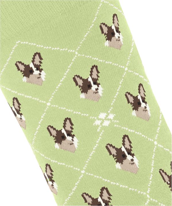 Actual product image Burlington Corgi (Single pack, 36 - 41)