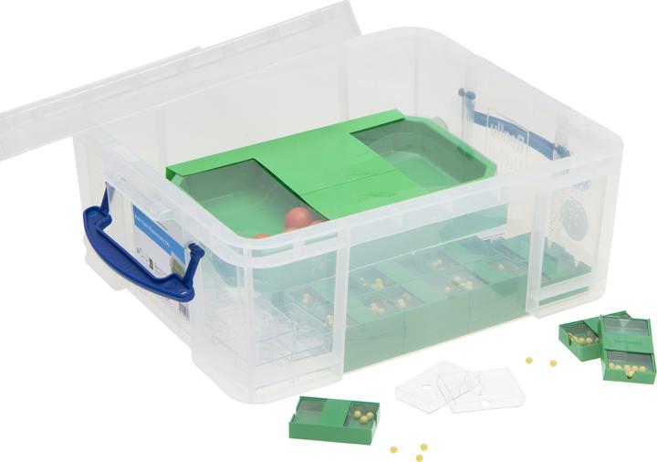 Actual product image Betzold Multi split class set XXL (Czech)