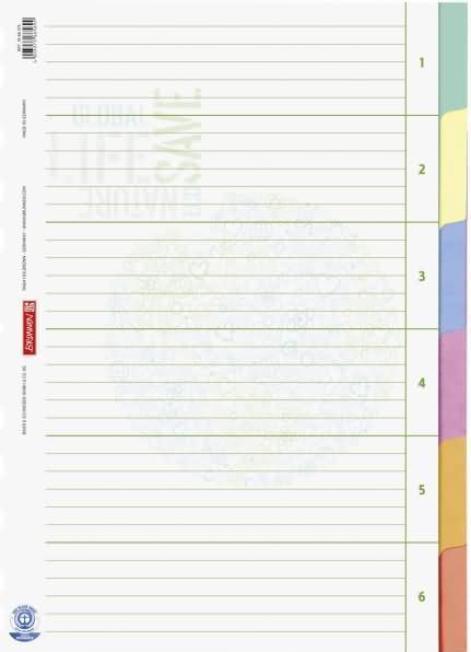 Folder index recycling full format blank beige 6-piece, 1 pc.