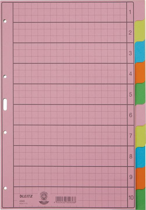 Actual product image Leitz Register Paper