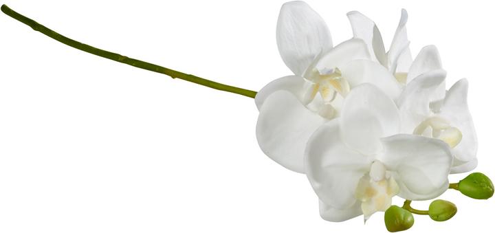 Produktbild Villeroy & Boch Orchidee (38 cm)