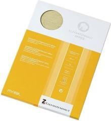 Produktbild Römerturm Elefantenhaut, DIN A4, 110 g/qm, chamois (110 g/m², 100 x, A4)