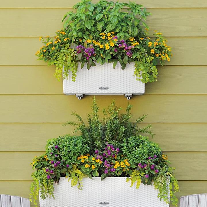 Produktbild Lechuza Balconera Cottage (19 cm)