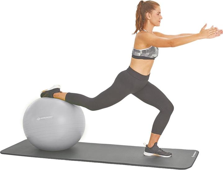 Produktbild Schildkröt Gymnastikball 65 cm (65 cm)