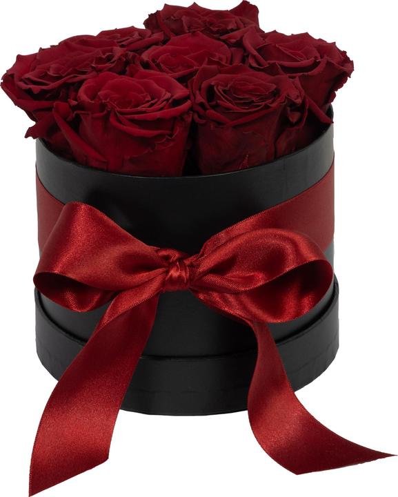 Migros Ostschweiz Roses Premium (Roses stabilisées) en cylindre (Fleurs à l'infini)