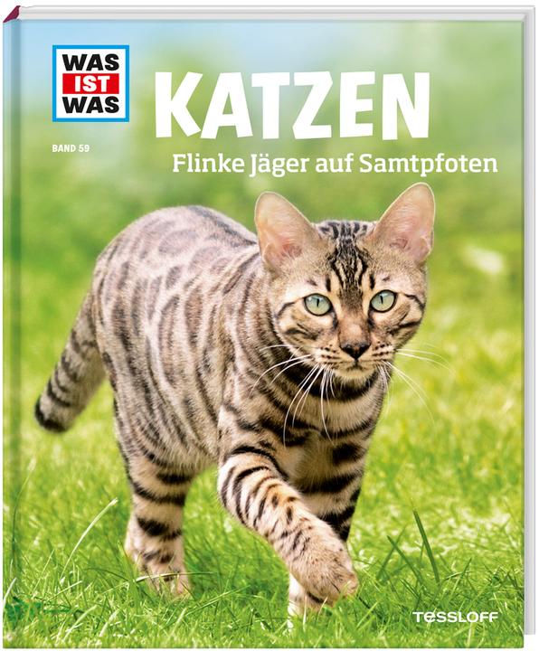Produktbild Tessloff Katzen. Flinke Jäger auf Samtpfoten (1 Stk., 452 g)