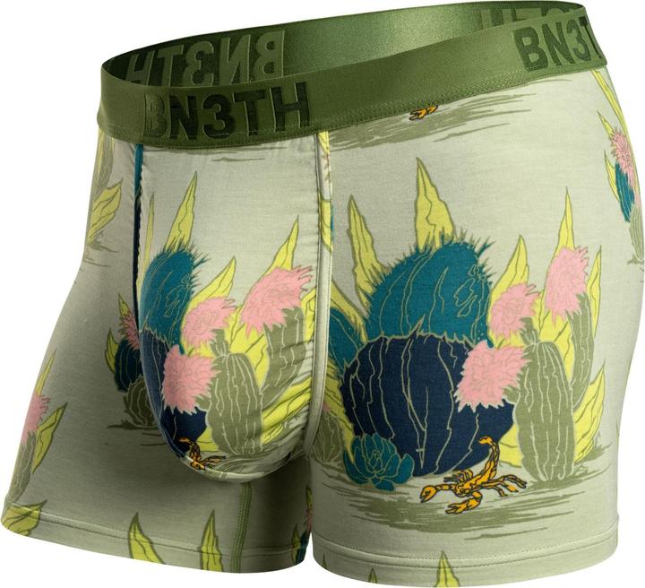 cactus floral-fai