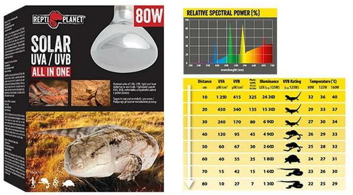 Produktbild Repti Planet Terrarienlampe Solarlicht mit UVA & UVB 125 W (UVB, UVA)