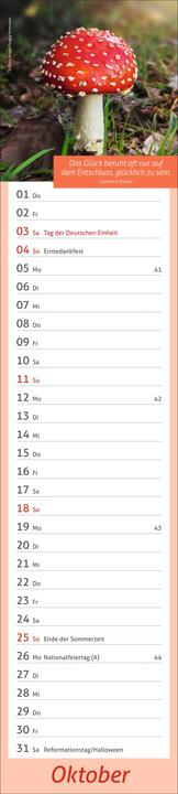 Image du produit times&moreTagevollerGlückLangplaner2026 (11 x 49 cm, Allemand)