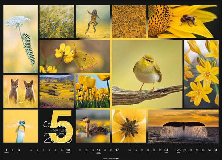 Produktbild Colours of Nature Kalender 2026 (68 x 49 cm, Harter Einband, Deutsch)