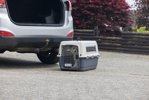 Immagine prodotto Karlie Scatola di trasporto nomade (Cane, Gatto, Chiudibile a chiave)