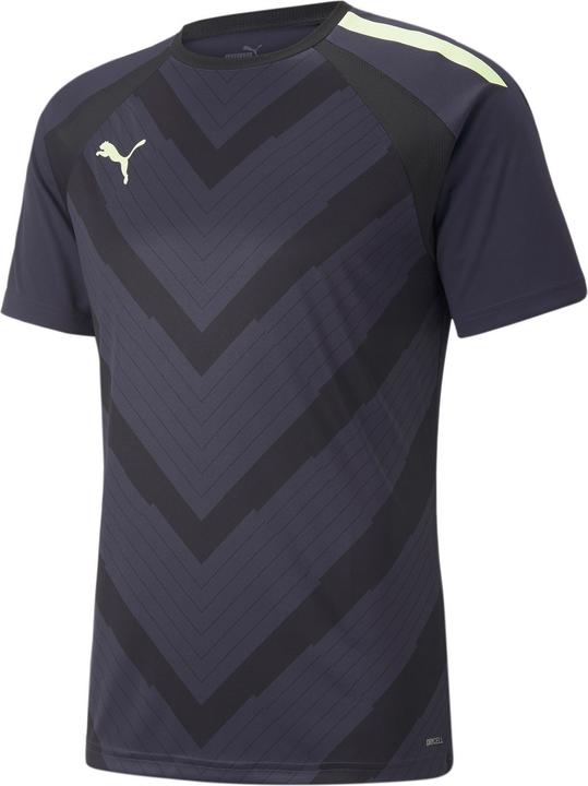 Puma teamLIGA Graphic Jersey (M)