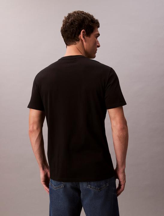Actual product image Calvin Klein Jeans Ss Badge 30s Jersey Classic Tee (L)