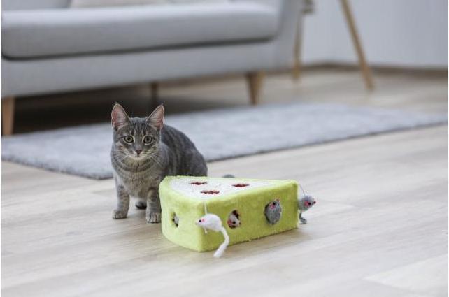 Produktbild Kerbl Sisalspielzeug CHEESY 28 x 28 x 10 cm (Beschäftigungsspielzeug Katze)