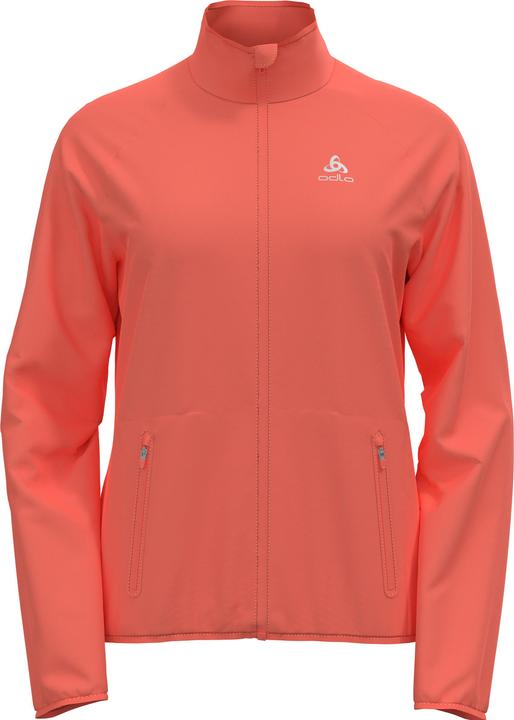 corail vivant