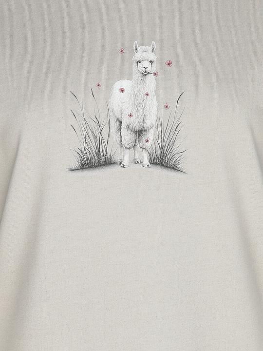 Actual product image Chillaz Klettershirt Alpaca Meadow (34, XS)