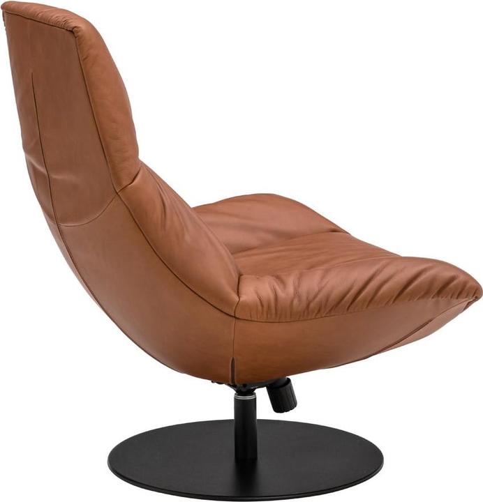 Produktbild Janus