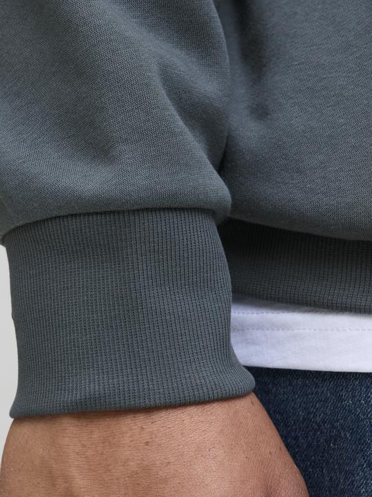Immagine prodotto Jack & Jones JJELOGO SWEAT HOOD 2 COL 24/25 NOOS PLS (4XL)
