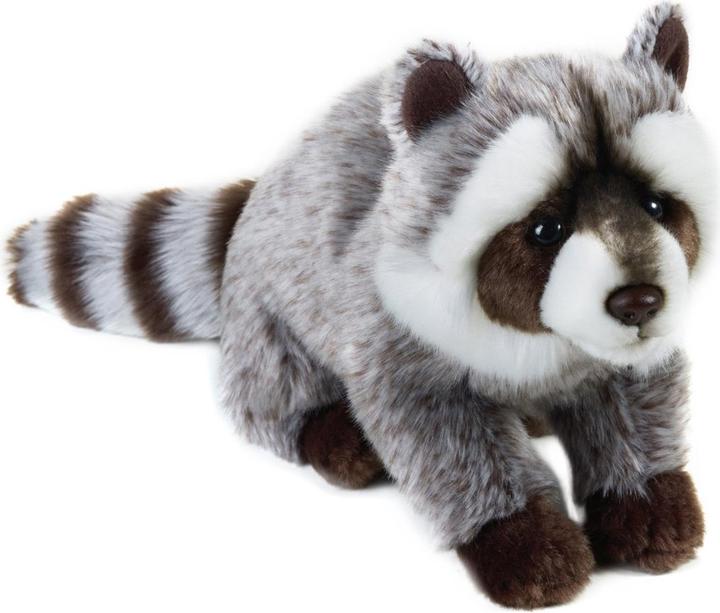 National Geographic Raton laveur (24 cm)