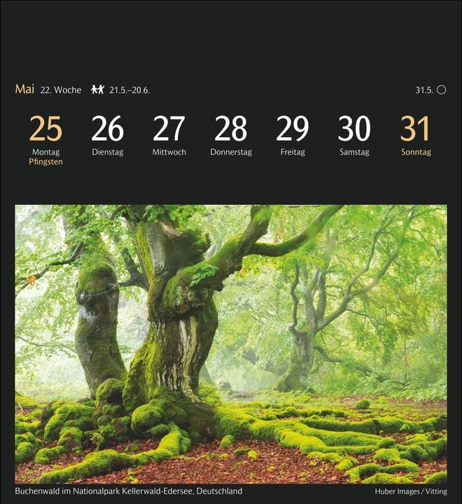 Immagine prodotto Harenberg Die Welt in Farben Postkartenkalender 2026 - Kalender mit 53 Postkarten (Copertina rigida, Tedesco)