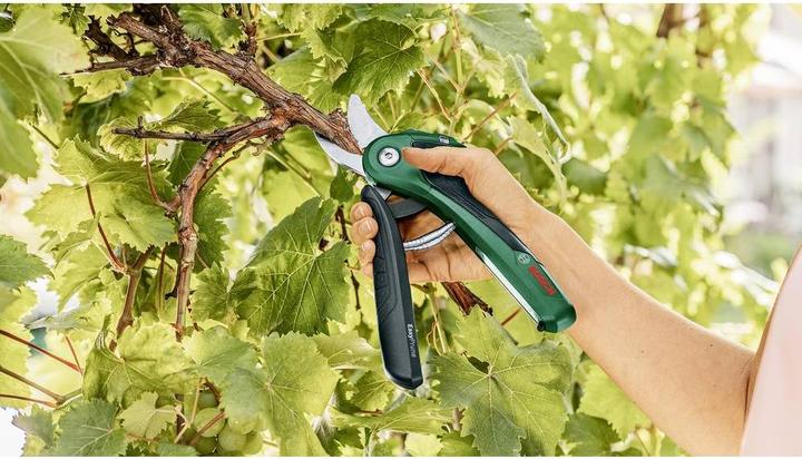 Produktbild Bosch Home & Garden EasyPrune