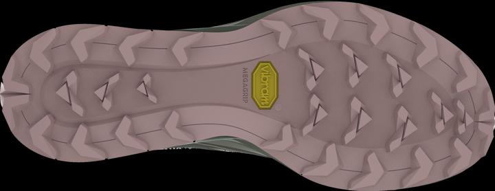 Produktbild Dynafit Alpine Laufschuh (36)