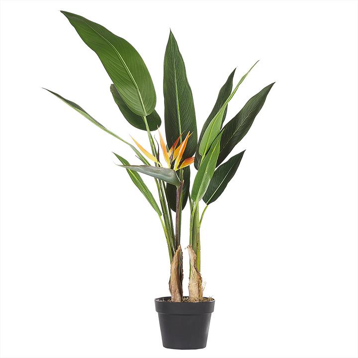 Produktbild Beliani Strelitzia Tree (115 cm)