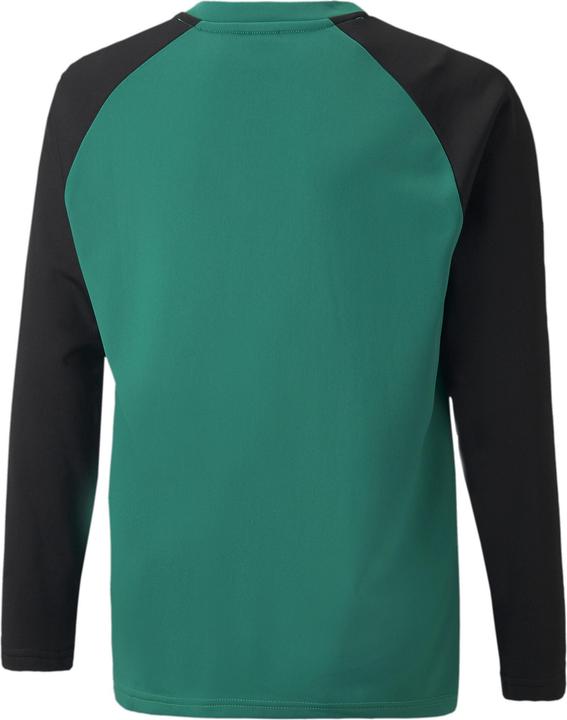 Actual product image Puma teamLIGA Training Sweat Jr-657239 (152)