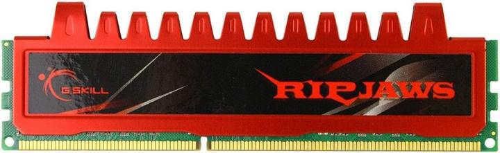 G.Skill Ripjaws (1 x 4GB, 1333 MHz, DDR3-RAM, DIMM)