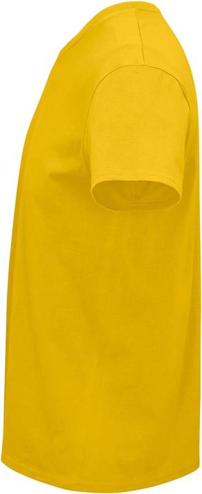 Actual product image Sols Crusader T-shirt from organic farming (XXL)