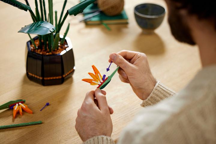 Image du produit LEGO Oiseau de Paradis (10289, LEGO difficiles à trouver)