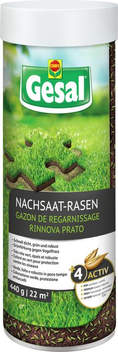 Gesal Nachsaat-Rasen (Rasensamen)