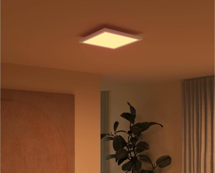 Image du produit Philips Hue White & Colour Ambiance Surimu (1760 lm)