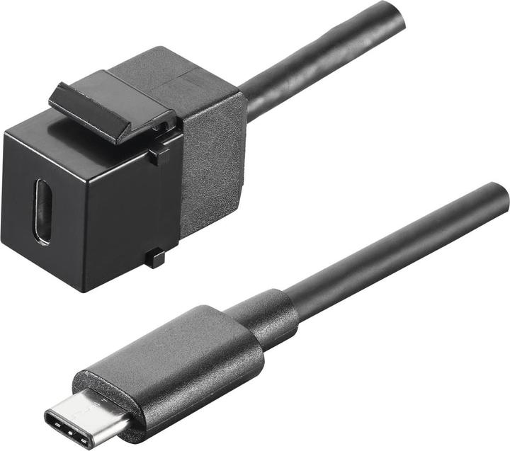 Produktbild Bachmann USB 3,1 Type C Keystone Module (0.50 m, USB 3.1)