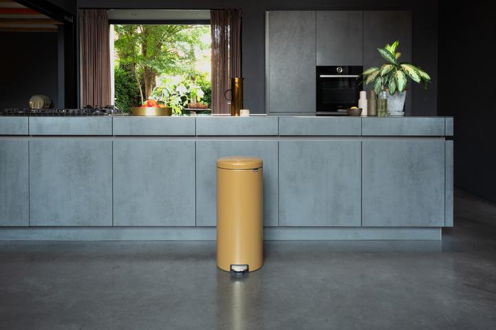 Image du produit Brabantia newIcon (30 l)
